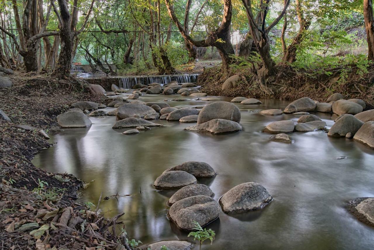 Basharu Resort Lenkeran Dış mekan fotoğraf